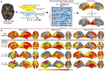 Structure-function models of temporal, spatial, and spectral characteristics of non-invasive whole brain functional imaging